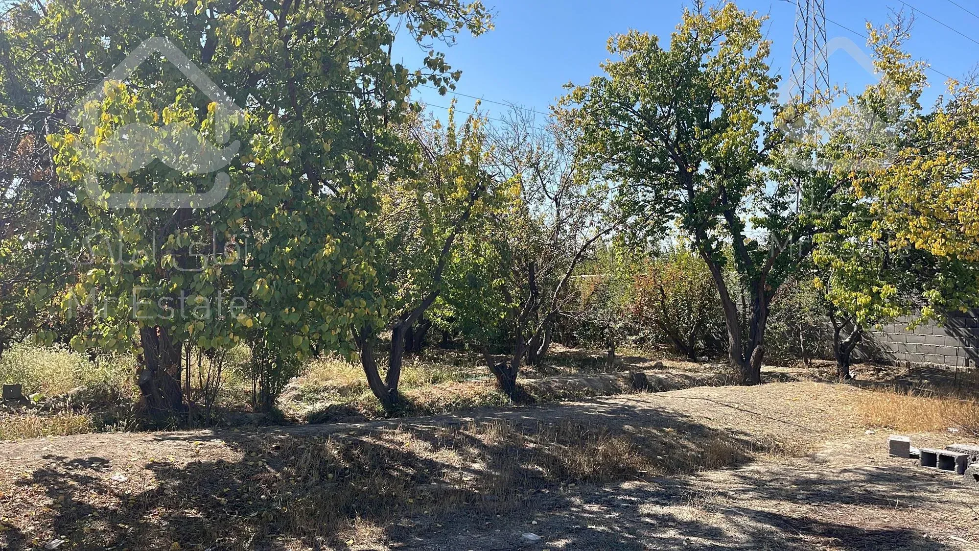 فروش باغ - سهیلیه - سنقرآباد