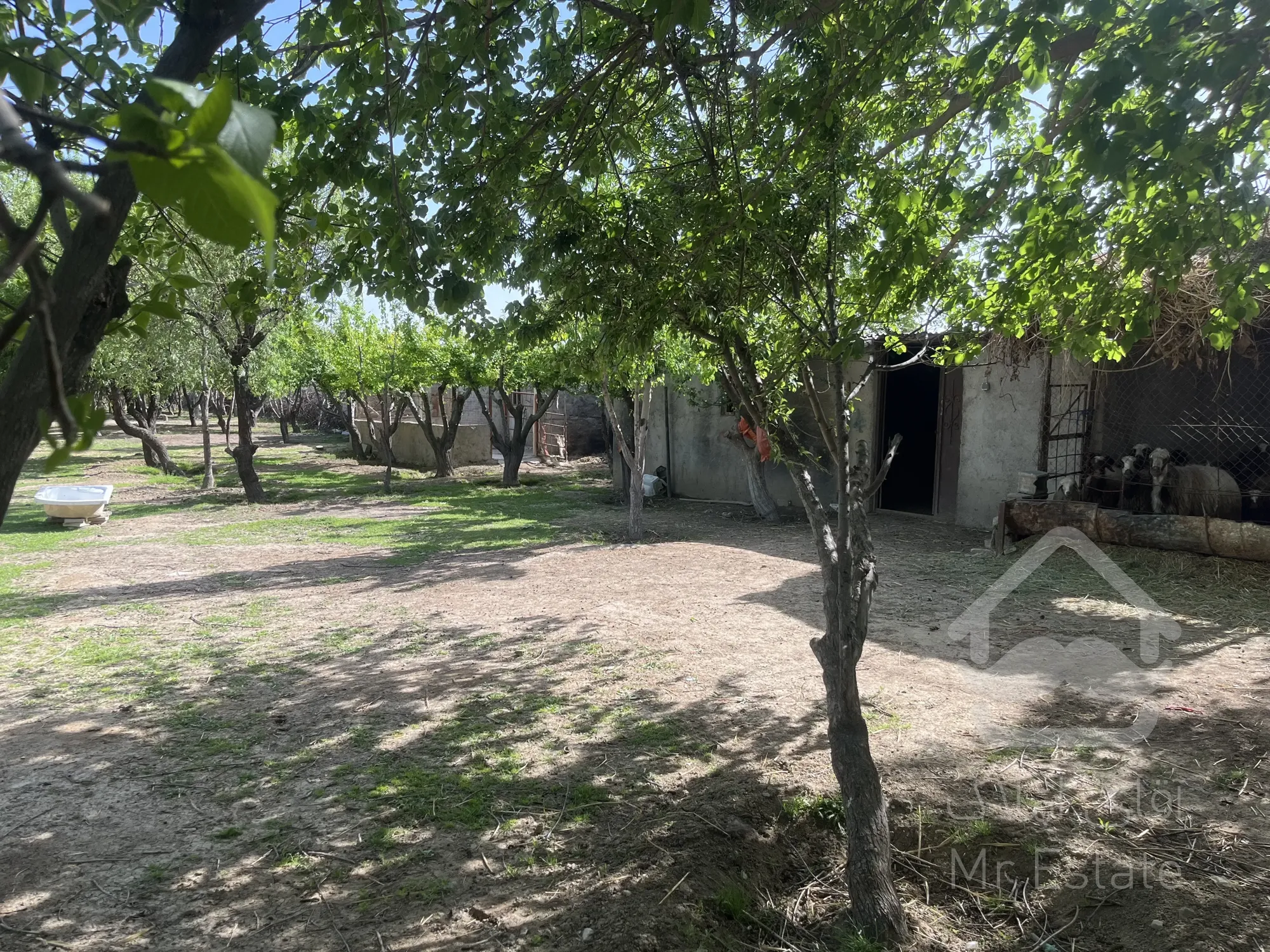 باغ ویلا مناسب تالار