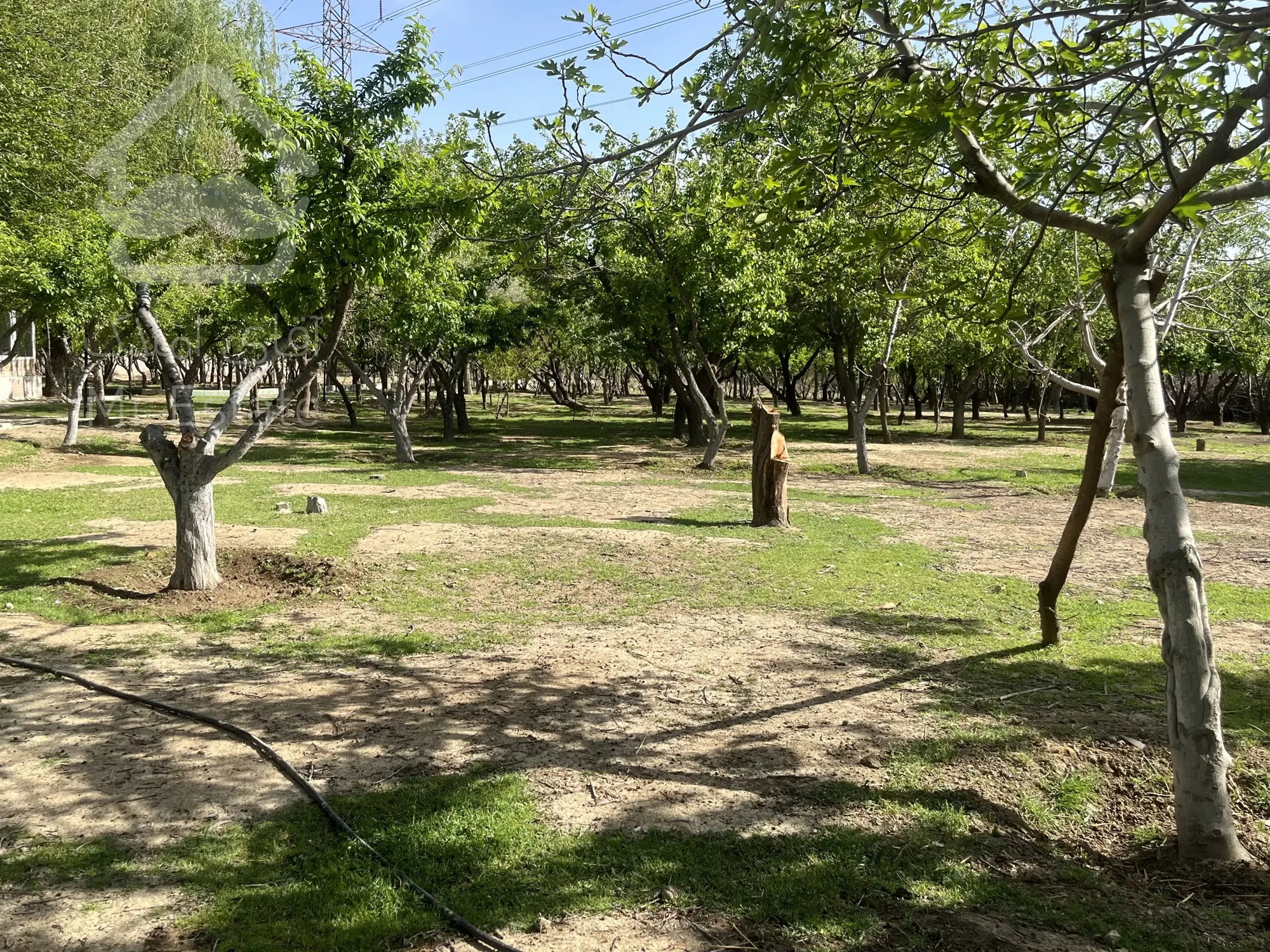 باغ ویلا مناسب تالار