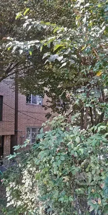 خانه گستر طبقه4