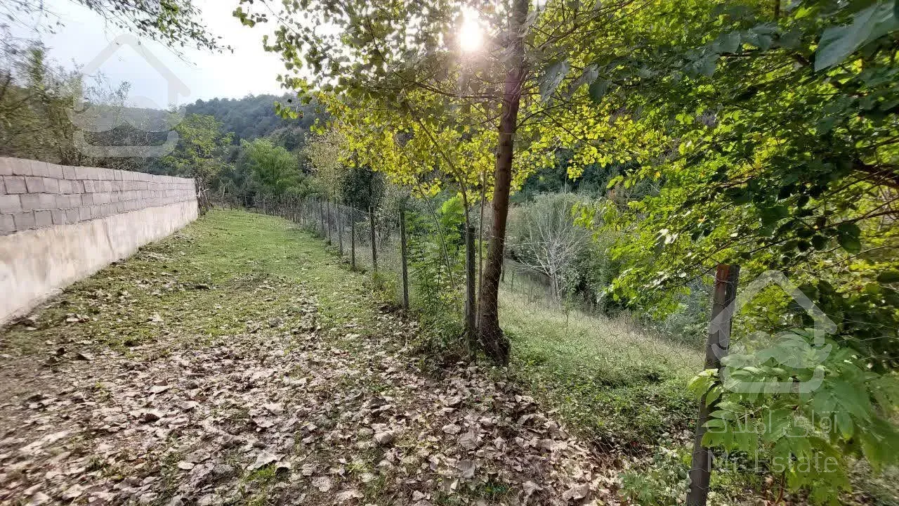 ۴۰۰متر پلاک ۱جنگل ویو دار درروستای شهران