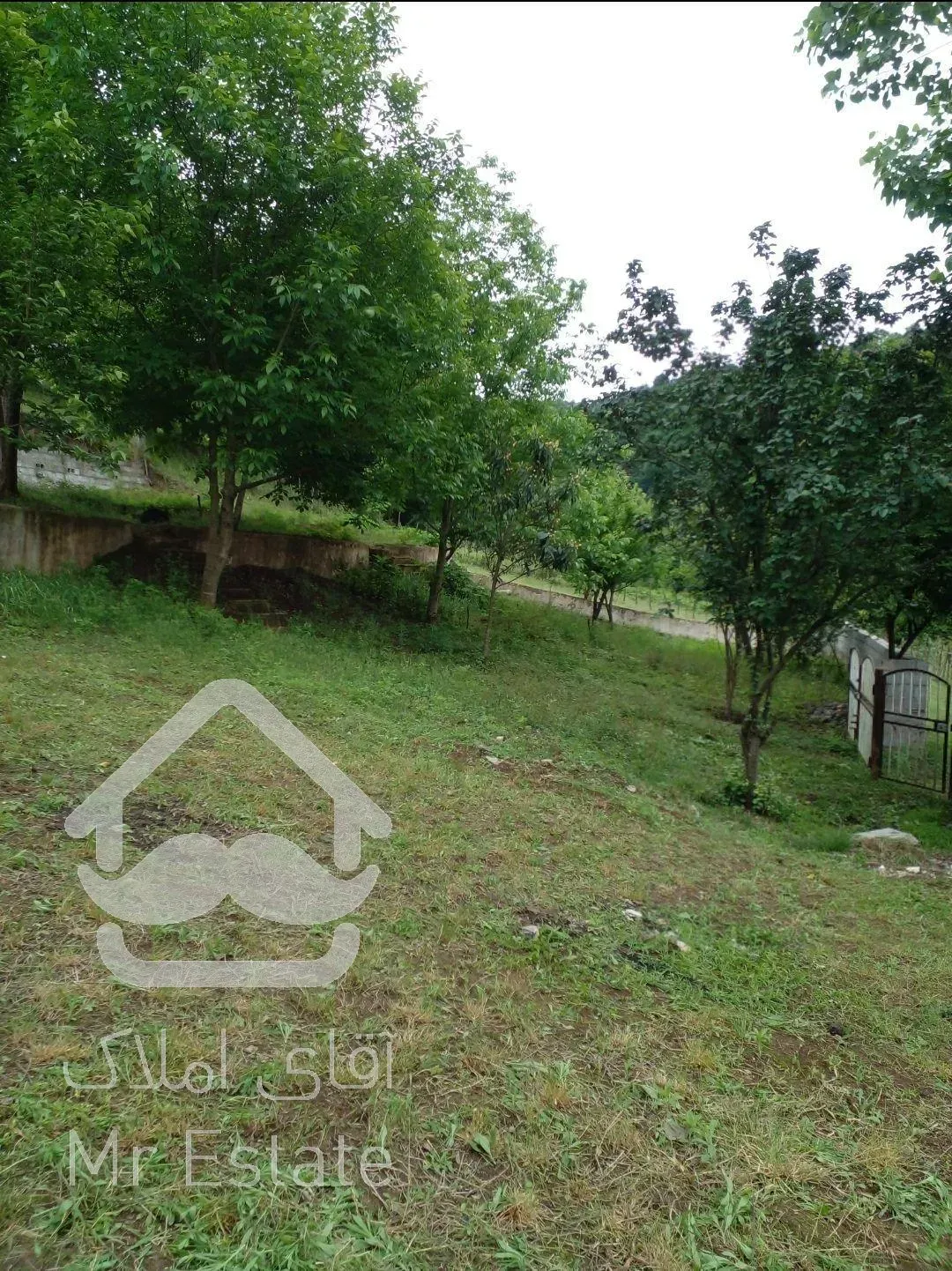 ۴۰۰متر پلاک ۱جنگل ویو دار درروستای شهران