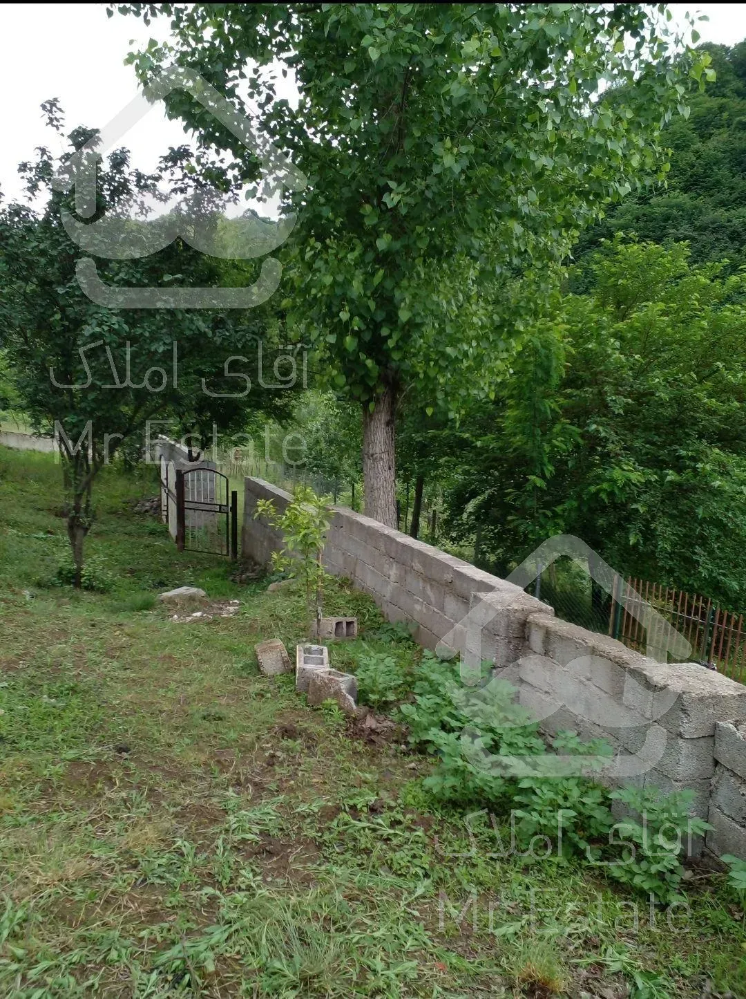 ۴۰۰متر پلاک ۱جنگل ویو دار درروستای شهران