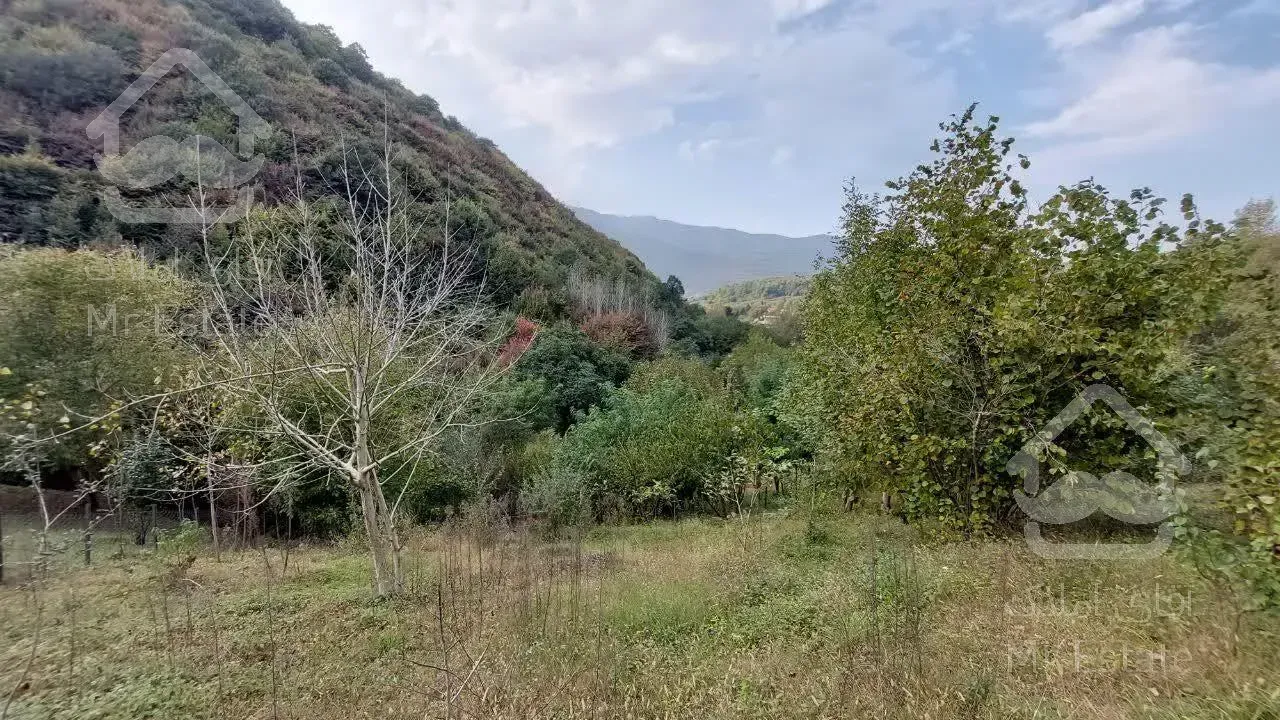 ۴۰۰متر پلاک ۱جنگل ویو دار درروستای شهران