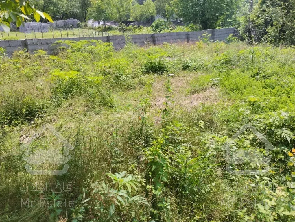 ۲۳۰ متر مسکونی ویو ابدی در حلیمه جان