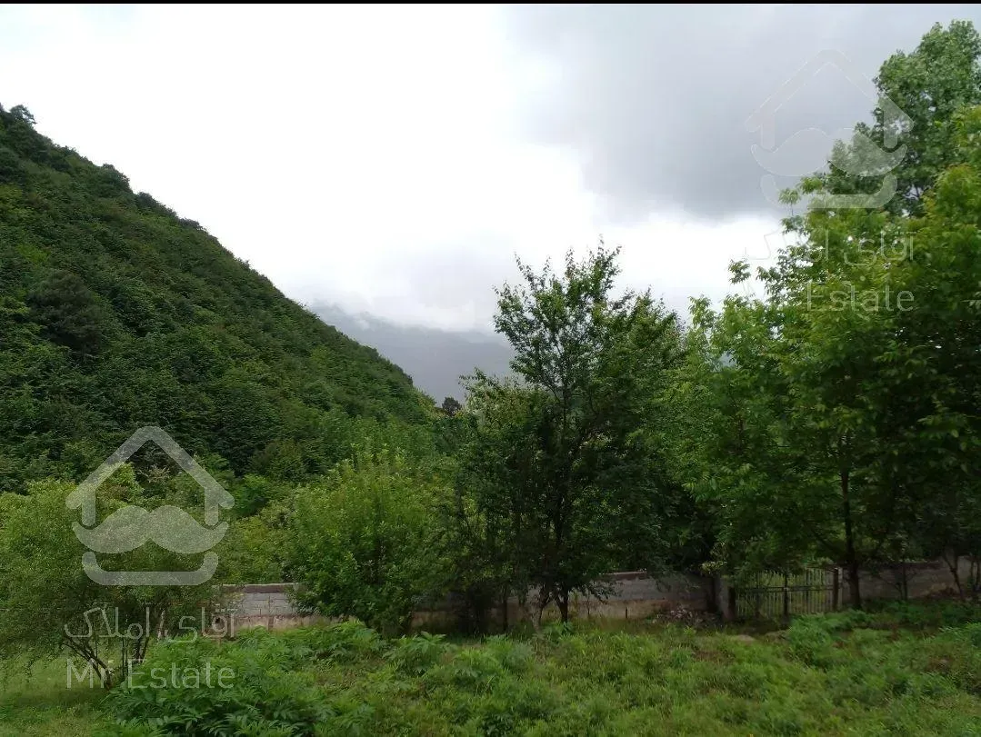 ۴۰۰متر پلاک ۱جنگل ویو دار درروستای شهران