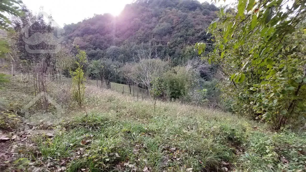 ۴۰۰متر پلاک ۱جنگل ویو دار درروستای شهران