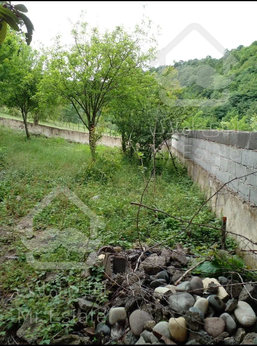 ۴۰۰متر پلاک ۱جنگل ویو دار درروستای شهران