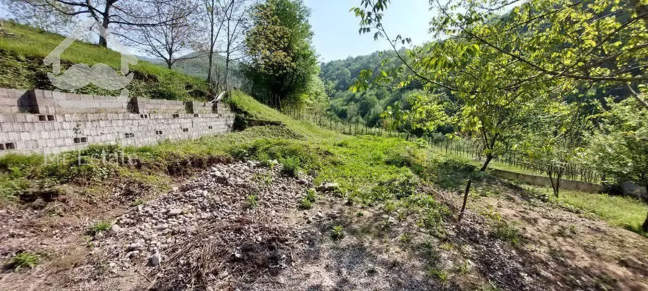 ۴۰۰متر پلاک ۱جنگل ویو دار درروستای شهران