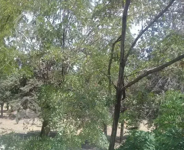 معاوضه آپارتمان با ملک و خودرو