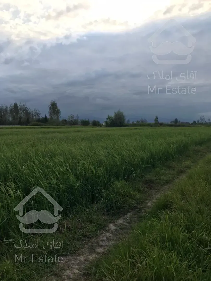 فروش زمين مناس براي سرمايه گذاري