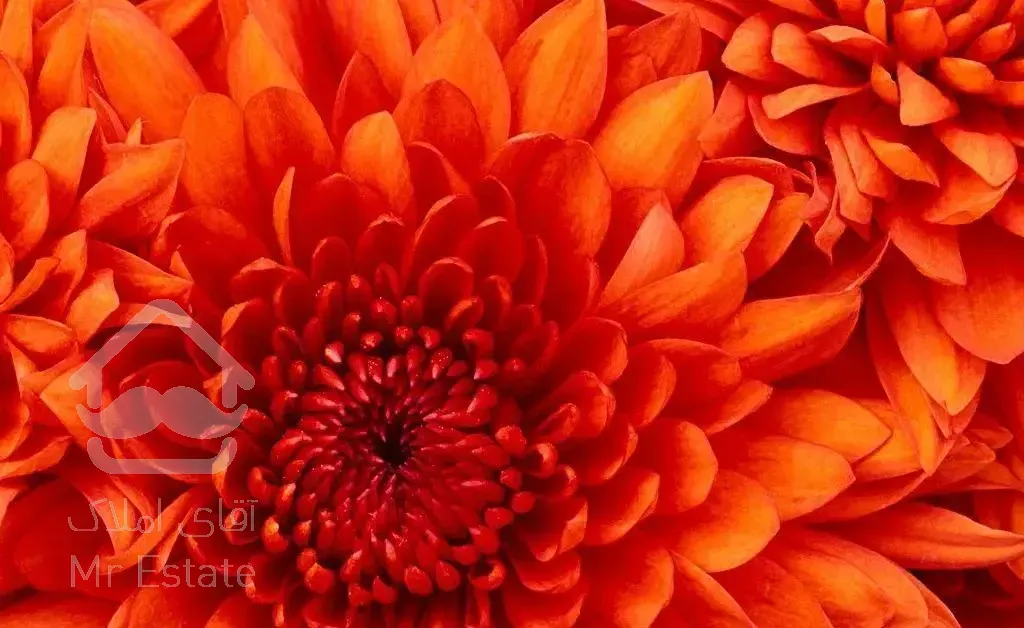 سمنگان شمالی 107متر اداری موقعیت