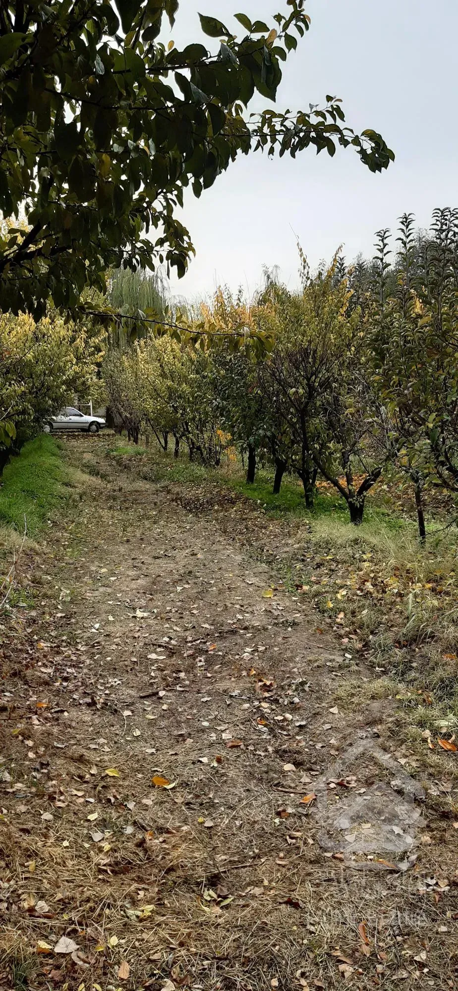 باغ ویلا 4000 متری  بسیار دیدنی در رویایی ترین منطقه کردان