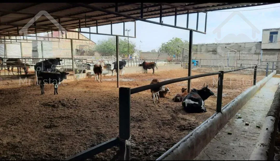 فروش دامداری ، گاوداری ، شهریار ، شاهد شهر