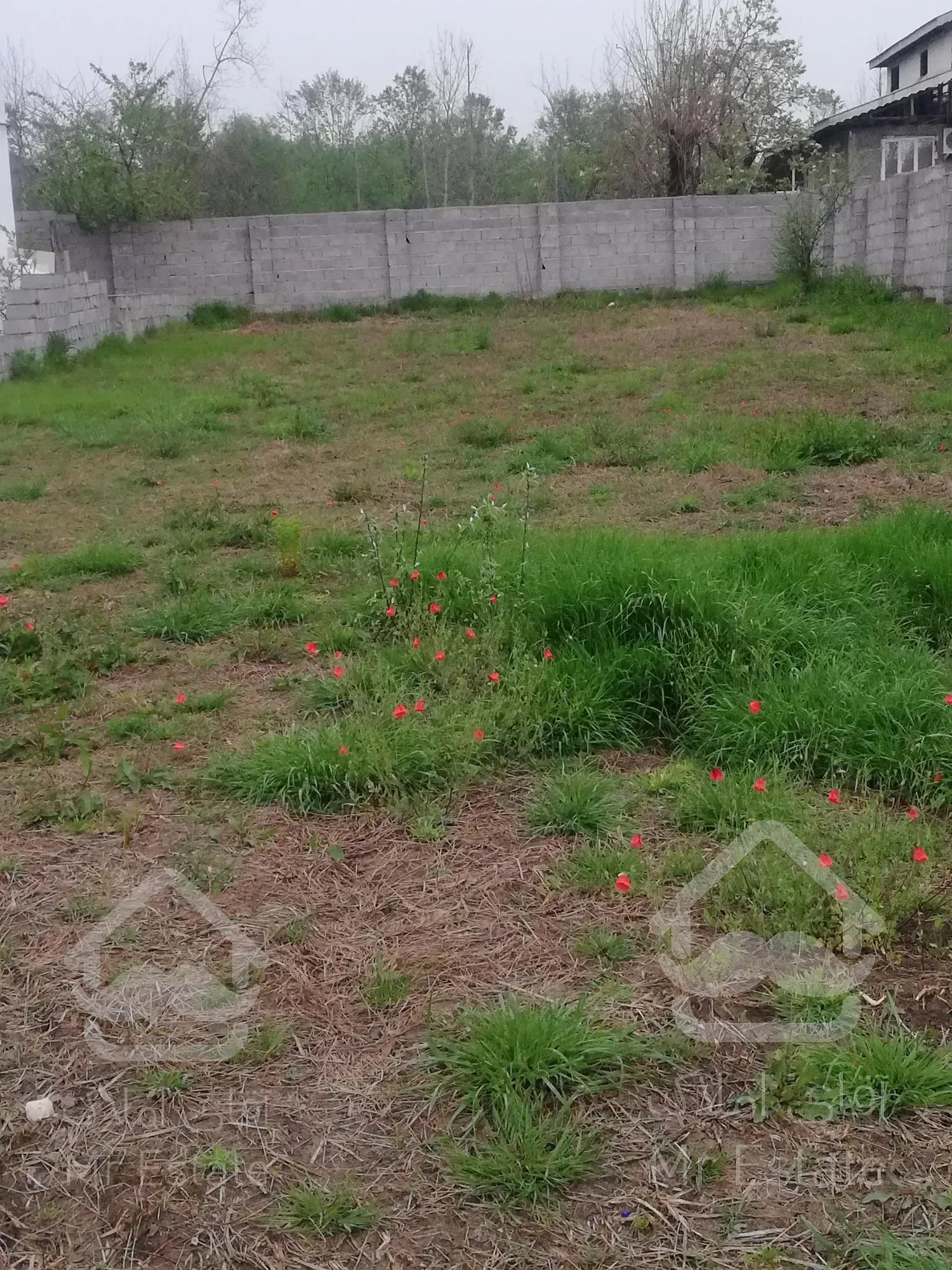 زمین 446متر در ماسال با کاربری مسکونی و مجوز ساخت در منطقه توریستی شاندرمن