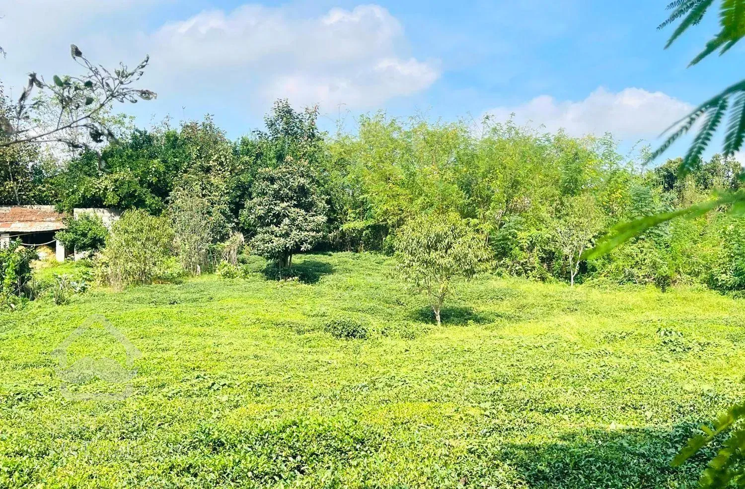 ویلا ۴۵۰ متر/پروانه ساخت/سند ویوی کوه قلعه رودخان