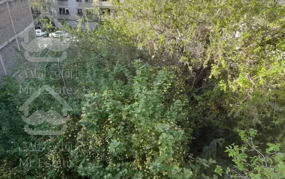 دلیری/۱۰۸متر/تکواحدی/خوش نقشه