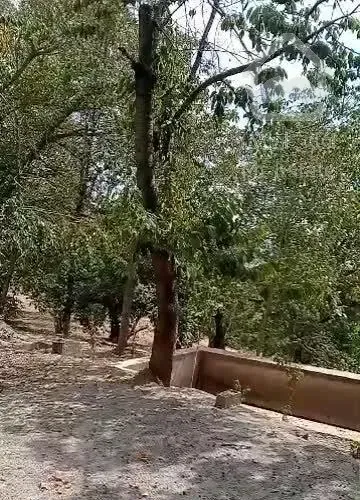 لواسان  کوچک  ۲۵۰ متر باغ