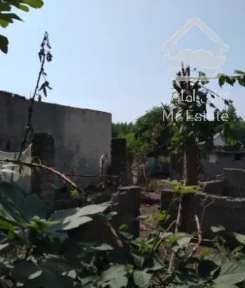 کلنگی 2900 متر در رضوانشهر