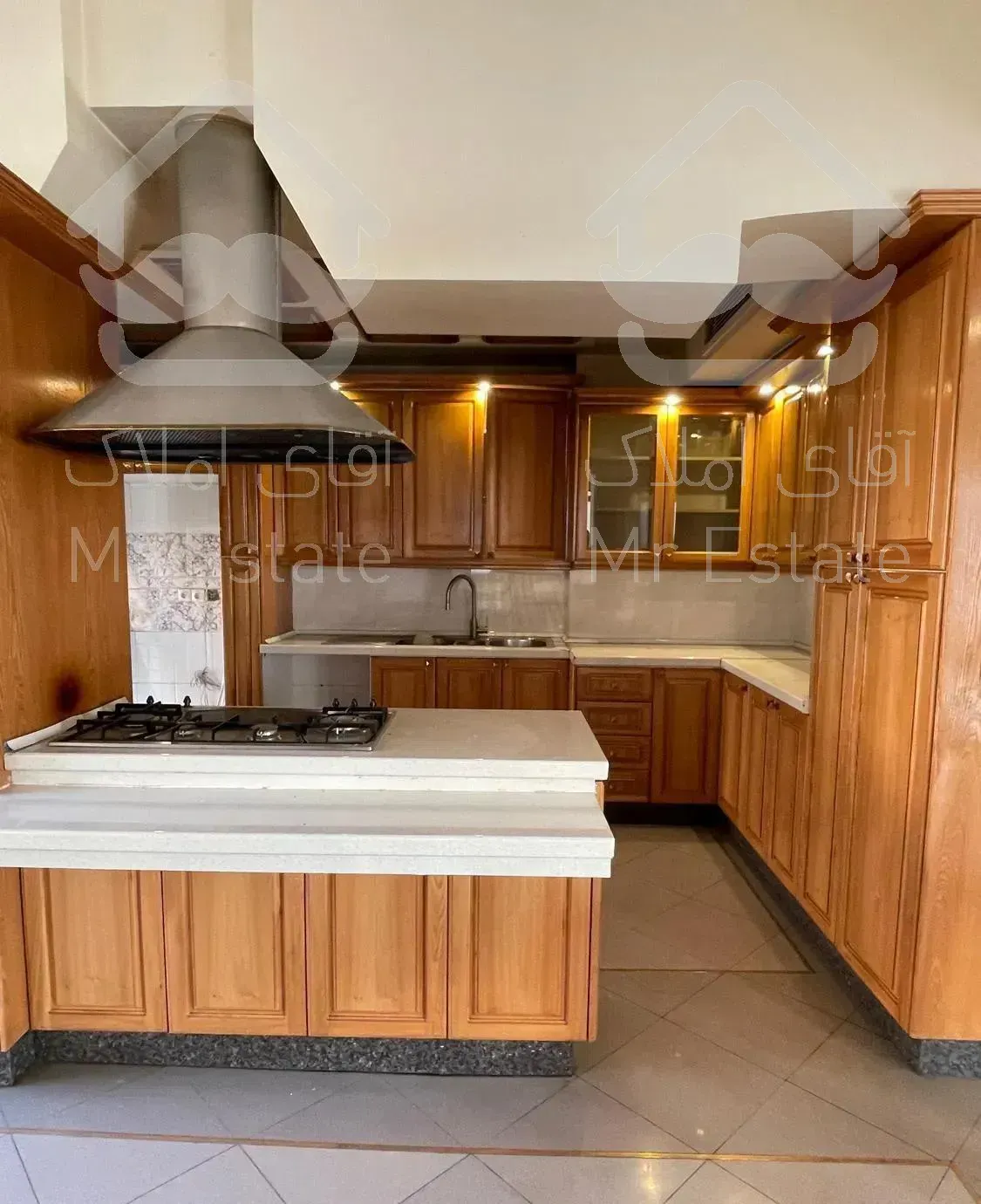 نیاوران گلسنگ پنت هاوس ۳۷۰ متر همراه ۲۰۰ متر تراس