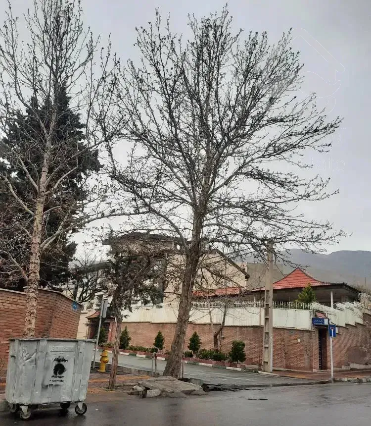 دربست ویلایی ۲طبقه بنا با زیرزمین جنوبی
