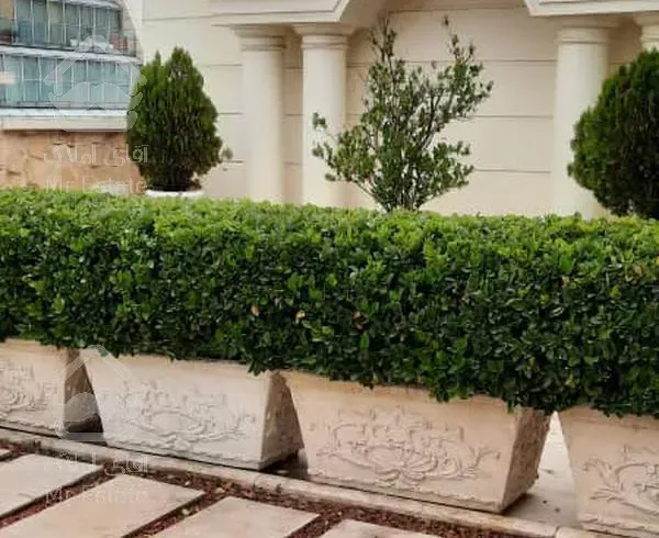 کامرانیه نیاوران ۲۲۰متر شخصی ساز با مشاعات