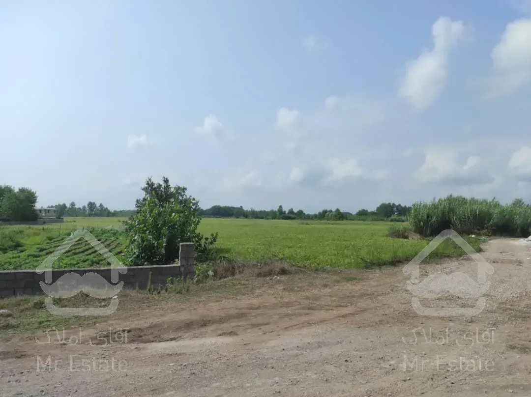 زمین مسکونی سند دار