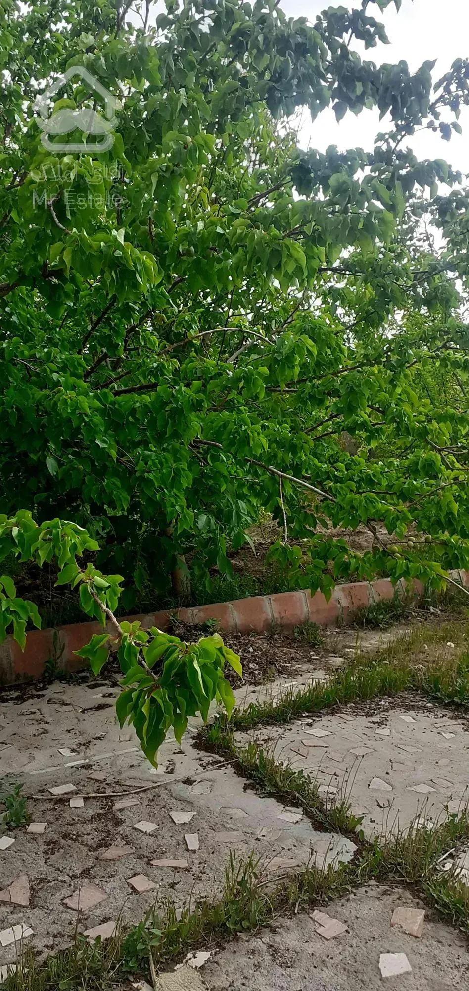 ویلا باغ دارای همه اماکانات در تبریز