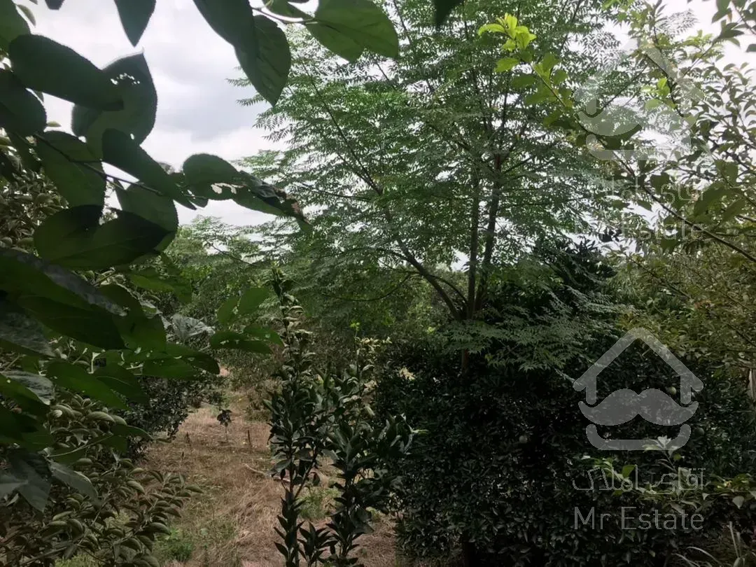 باغ 500مترمربع. محصور. غیربومی. قابل ساخت