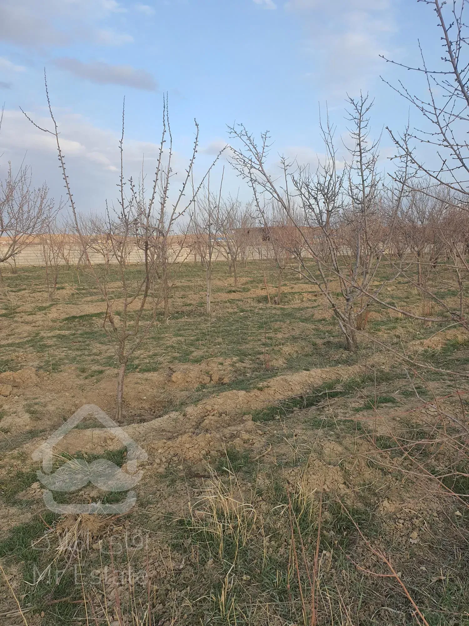 باغ ۱۰۰۰ متری در روستای کنجینه همدان