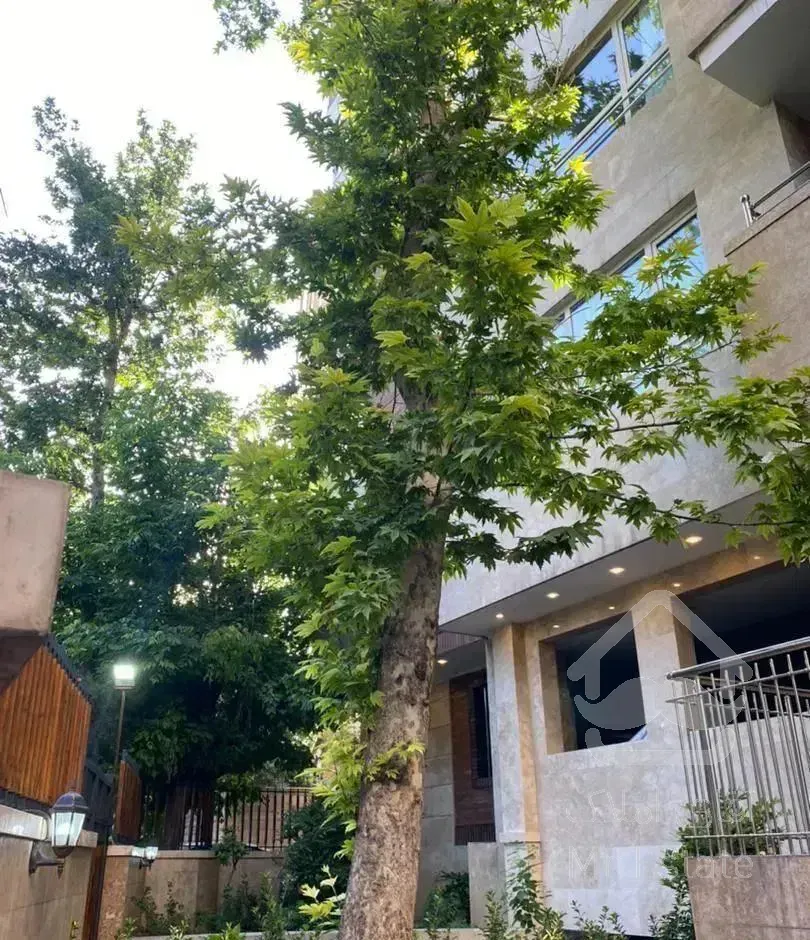 ۸۱متر مدرن (تجریش پل رومی) اوقاف (مناسب سخت پسند)
