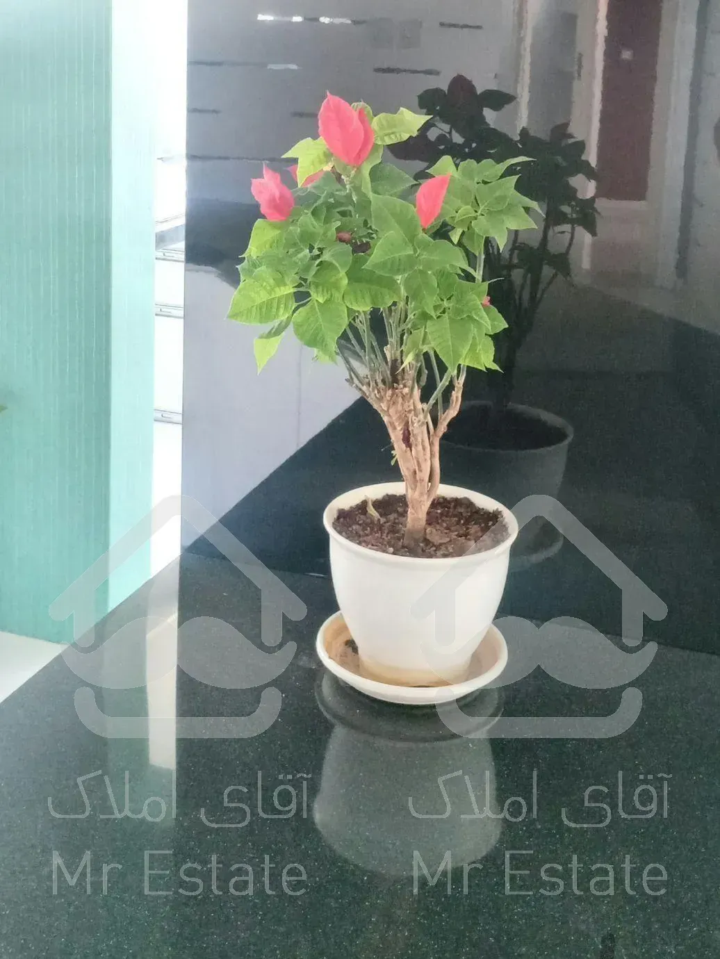 نقاشی ساختمان و نقاش ساختمانی غرب و شمال‌غرب