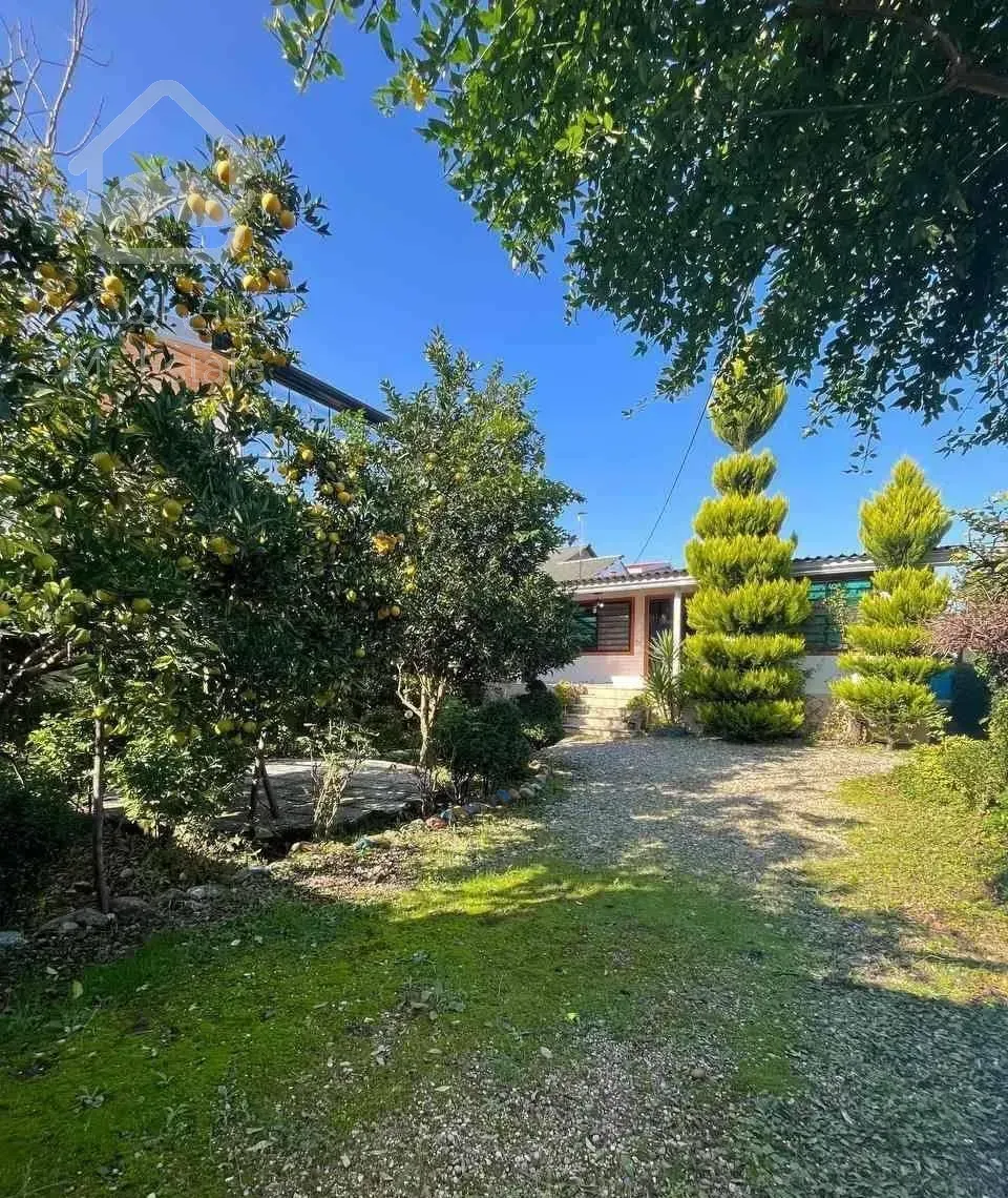 باغ مرکبات ۵۰۰متری(فقط پول زمین)۱۰۰بنا