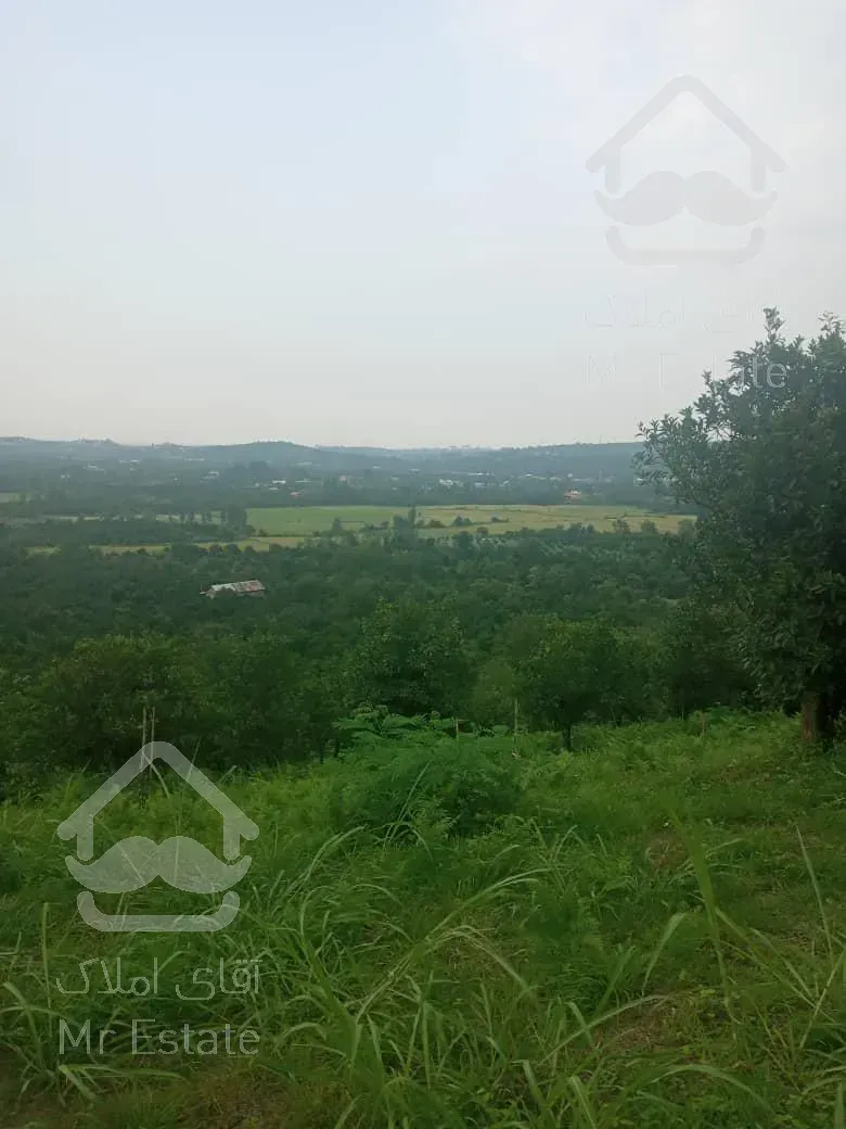 فروش زمین باغی در جاده نظامی با ویو بسیار زیبا