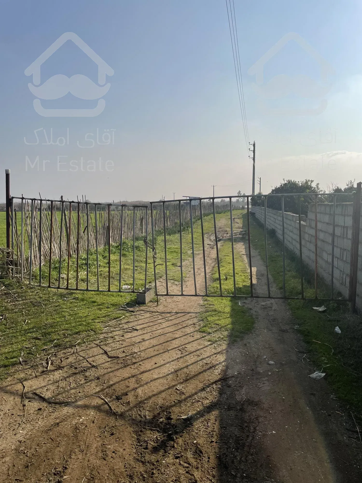 6000متر باغ مرکبات با آبیاری قطره ایی واقع در جاده پلاژ ساری