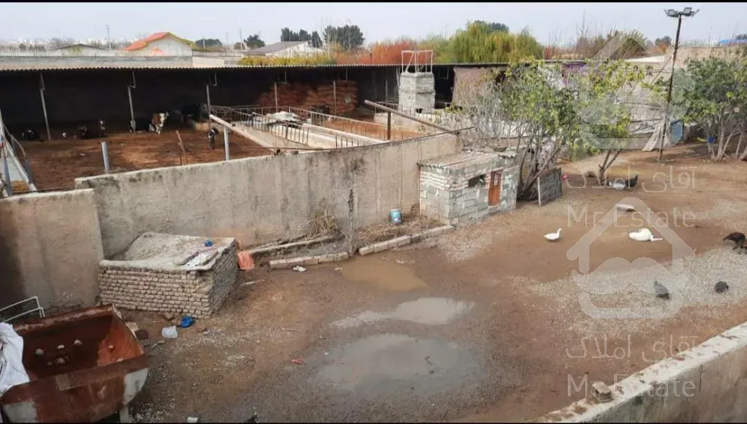 فروش دامداری ، گاوداری ، شهریار ، شاهد شهر