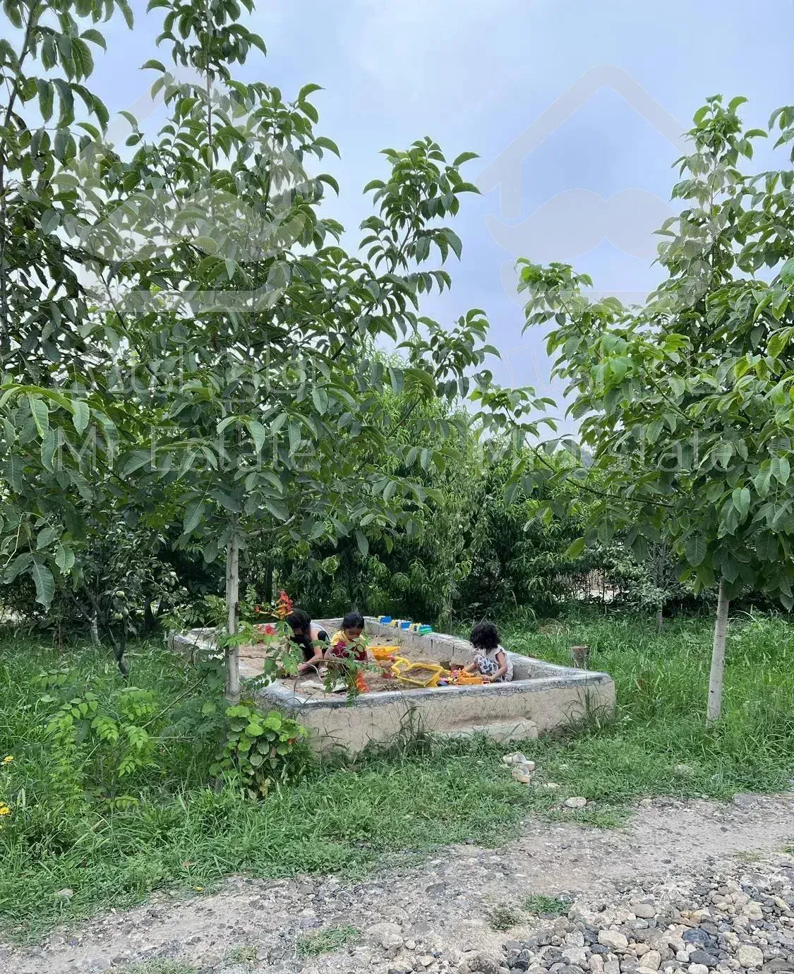 کلبه سنتی جنگلی شصت کلا