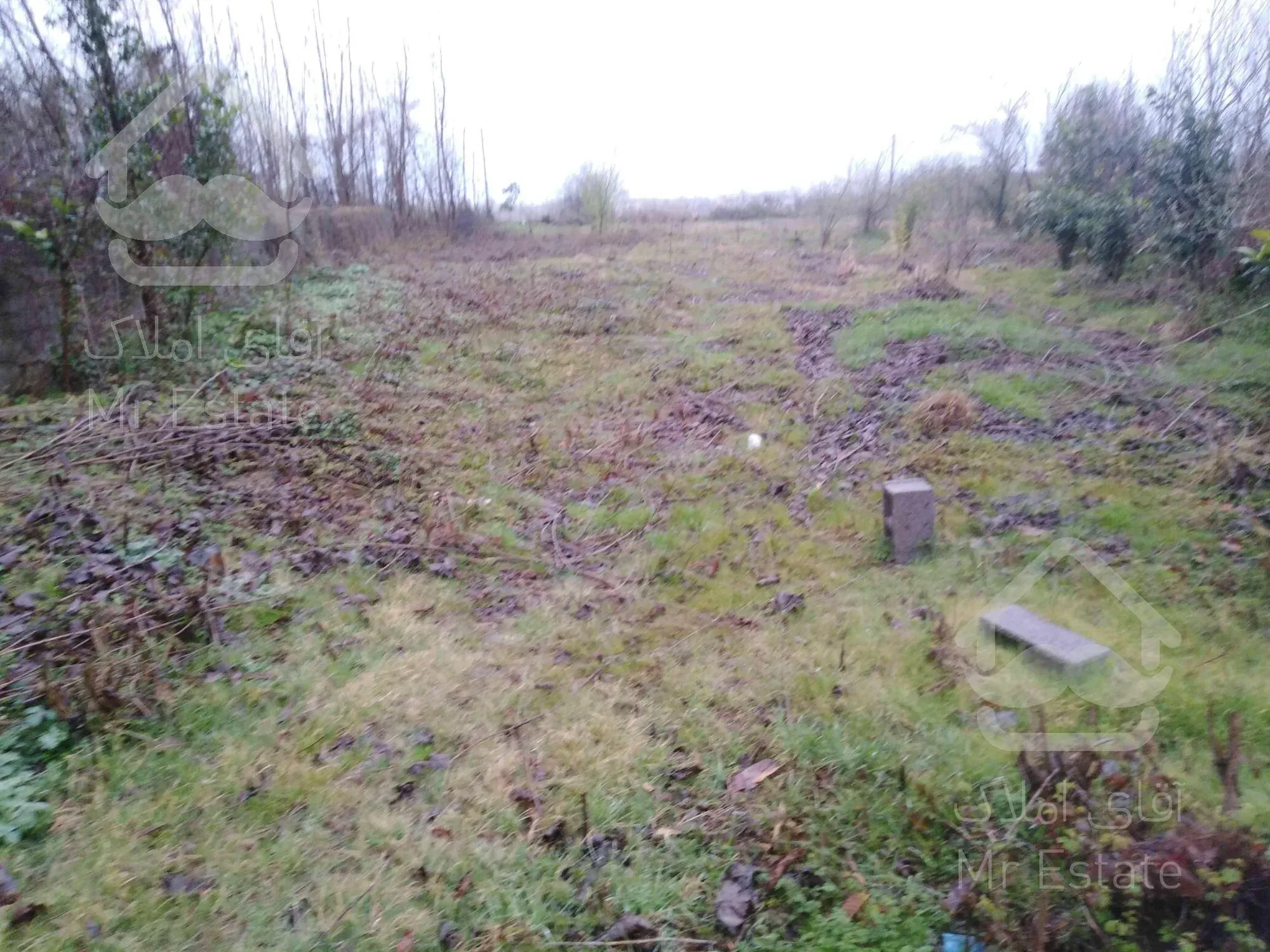 زمین دارای امتیاز برق و بر جاده 1500متر