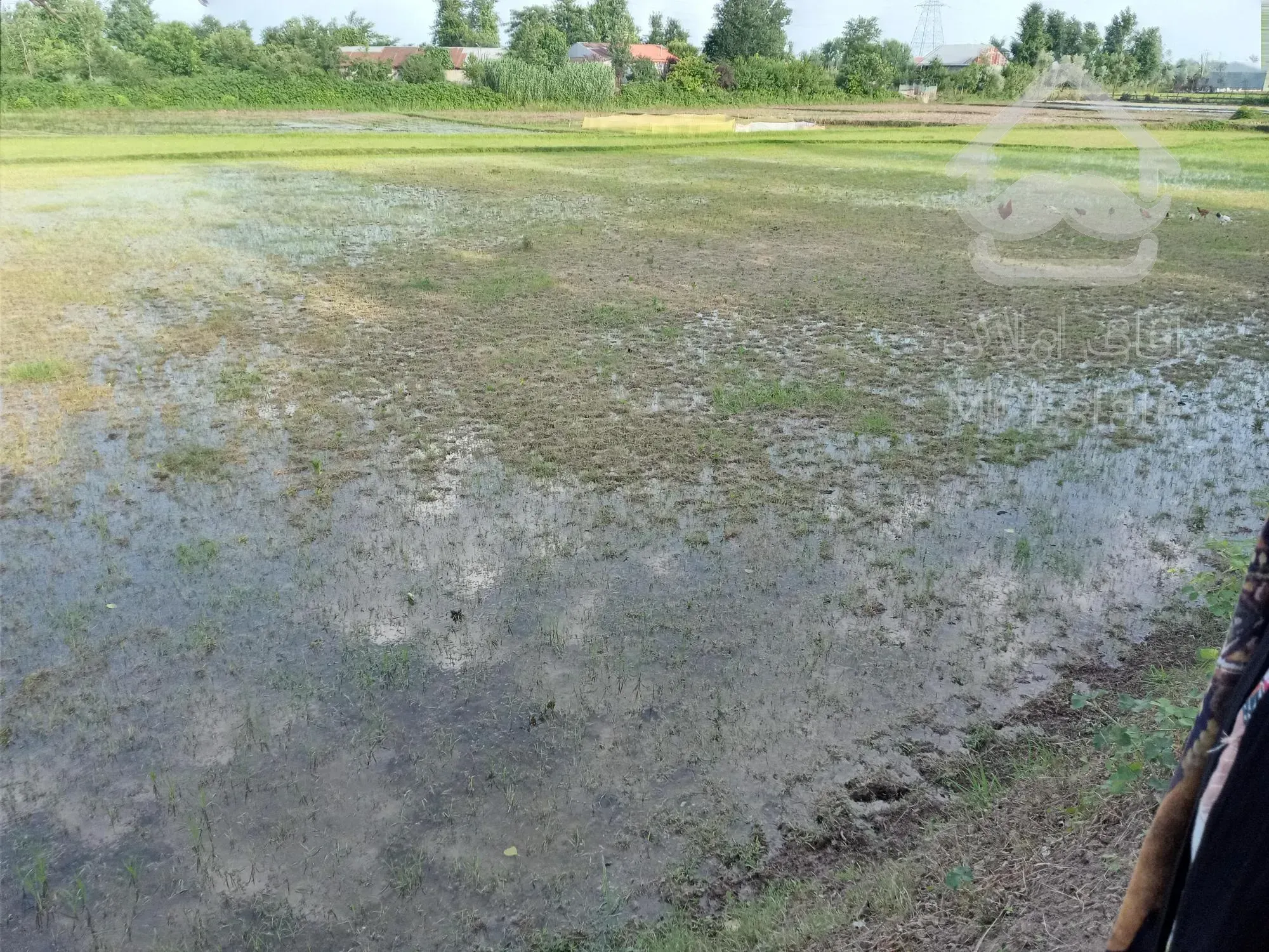 معاوضه یا فروش زمین برجاده اصلی