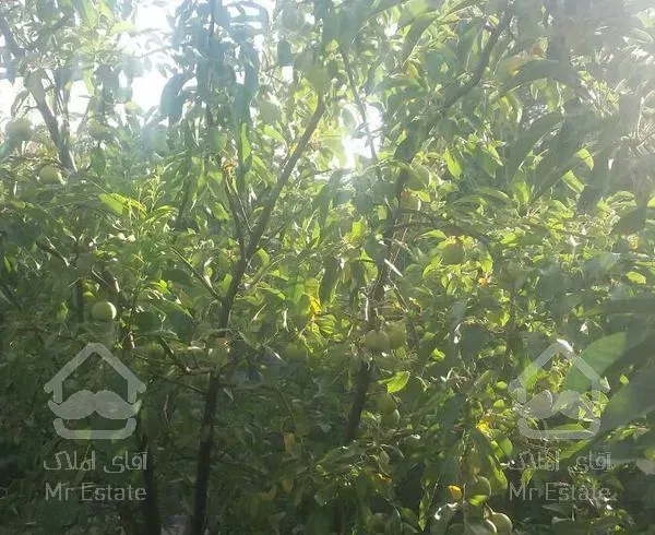 خونه باغ 1000 متری