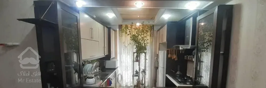 50 متر ،مسلم شمالی