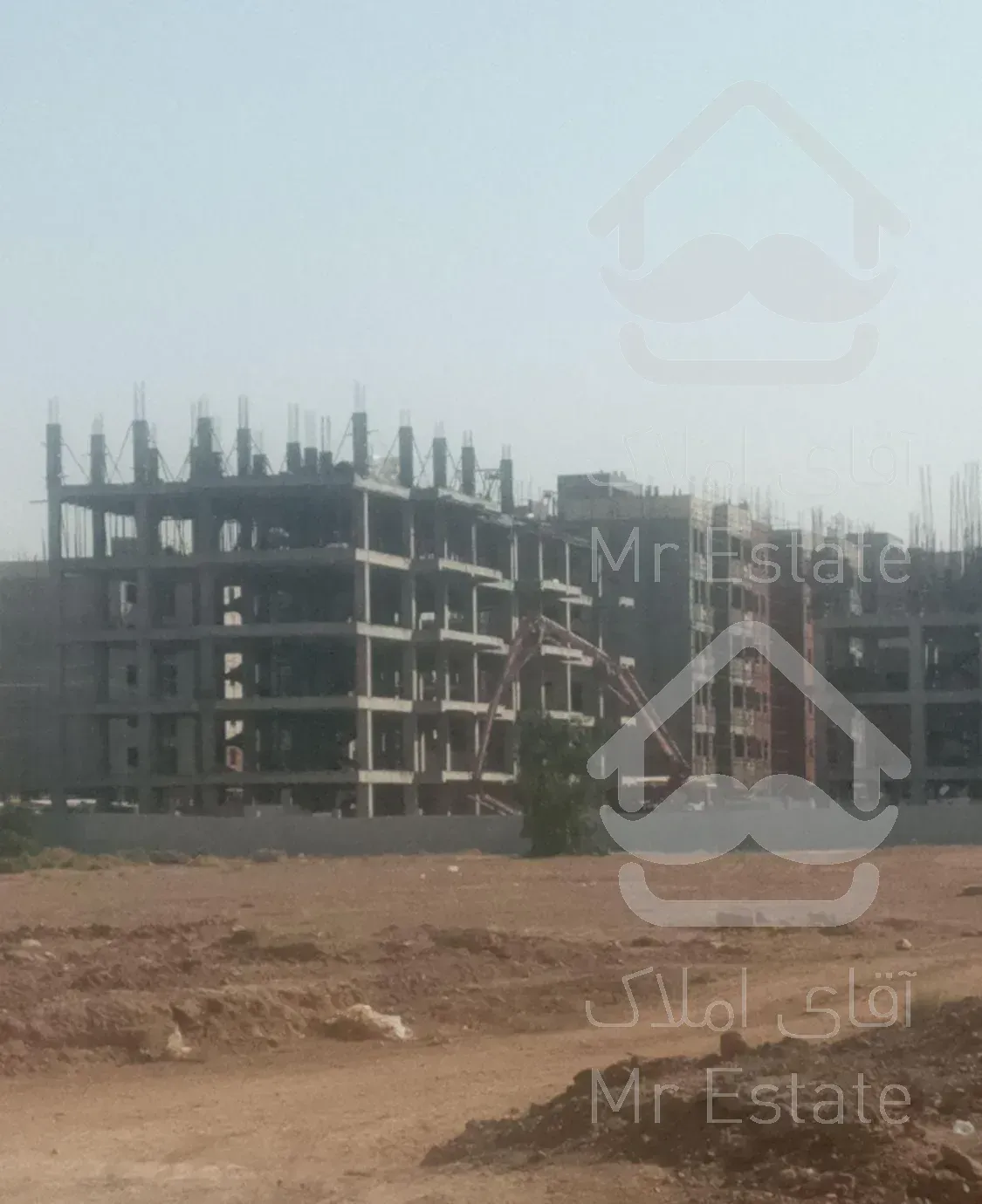 فیش زیتون و ۵۶۰ هکتاری