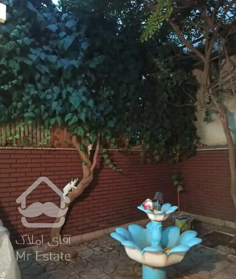 طبقه همکف (حیات دار)از ساختمان دو طبقه