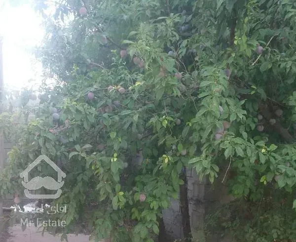 خونه باغ 1000 متری