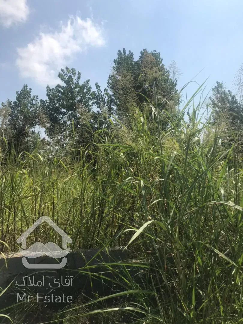 فروش 240متر زمین مسکونی. 2 نبش. نزدیک دریا