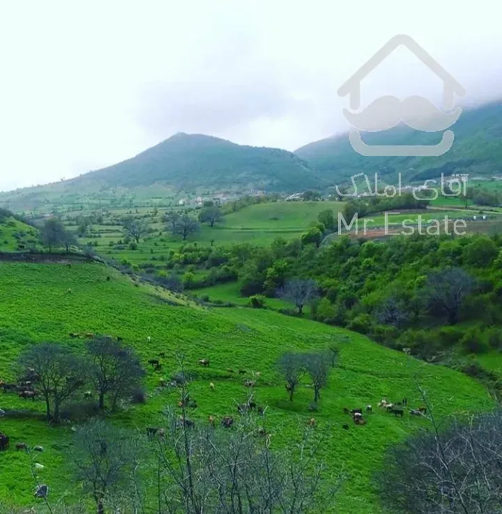 سوئیت اجاره در نزدیک آینالو