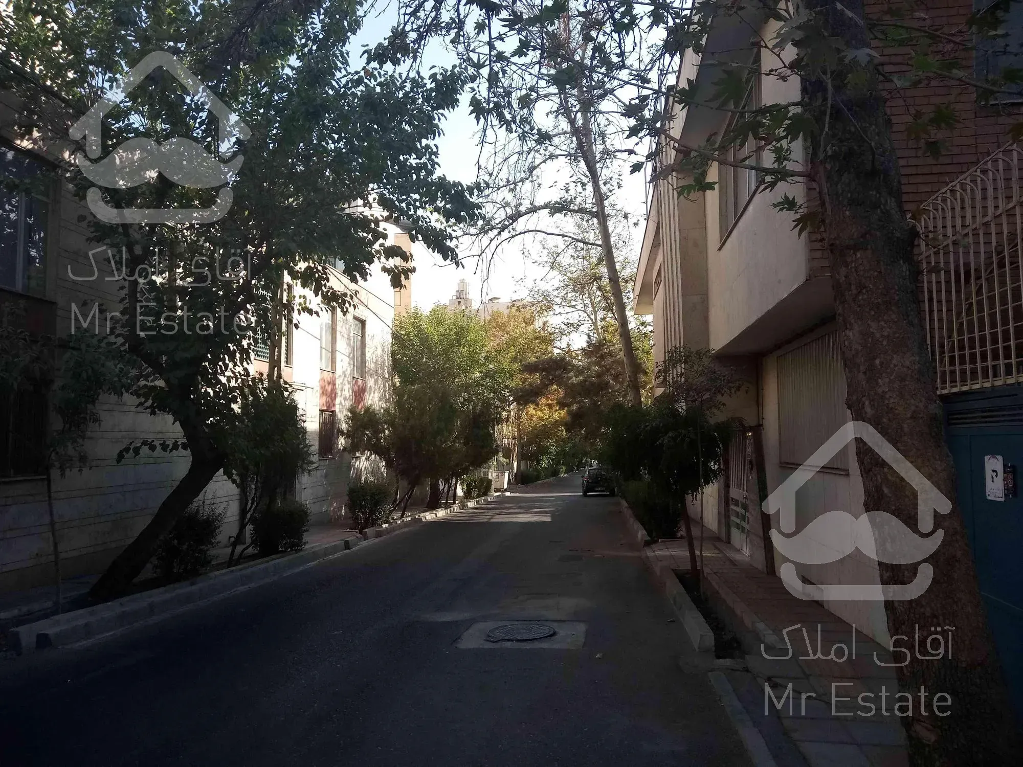 جنت آباد شمالی ۲۰۰متری کلنگی