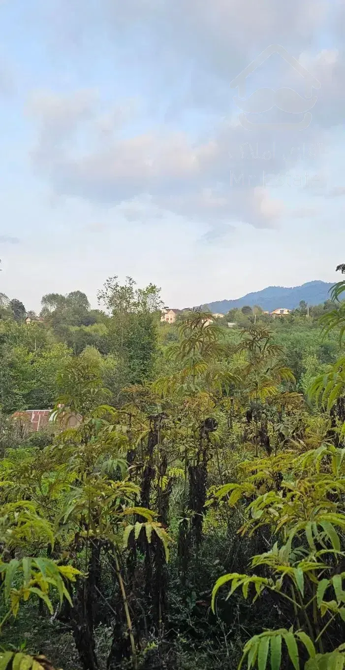 خونه قدیمی با محوطه