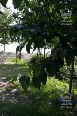 زمین ساحلی750 متری  با جواز ساخت کلارآباد