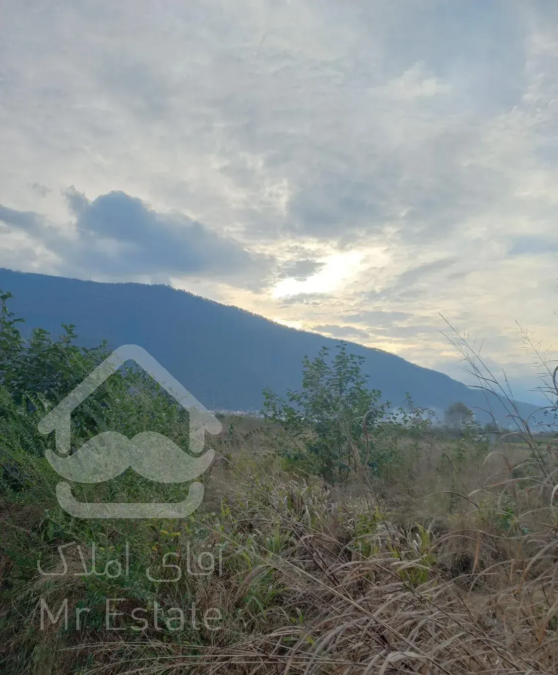 رهن ویلا هچیرود نمک آبرود